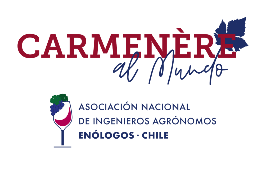 CARMENERE AL MUNDO 2024...estuve ahí