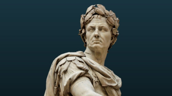 QUE HIZO JULIO CESAR POR EL VINO?