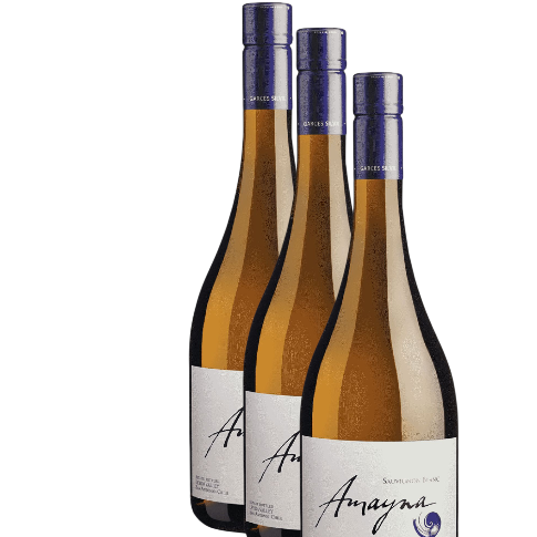 Vino Garcés Silva Amayna Sauvignon Blanc 2025 D.O.San Antonio x 3 BOTELLAS