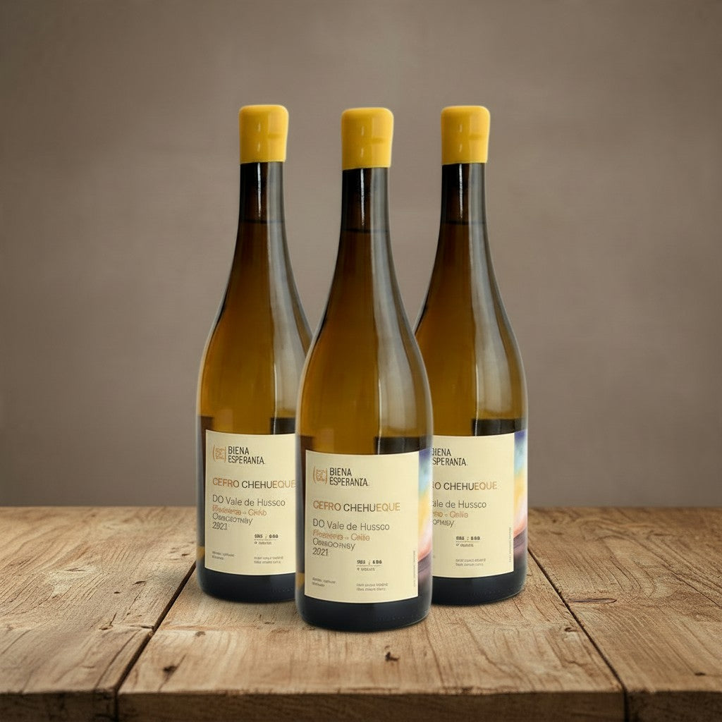 Vino Buena Esperanza Cerro Chehueque Chardonnay 2021 D.O. Huasco x 3 BOTELLAS