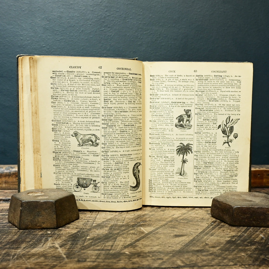 Libro Webster´s Common School Dictionary