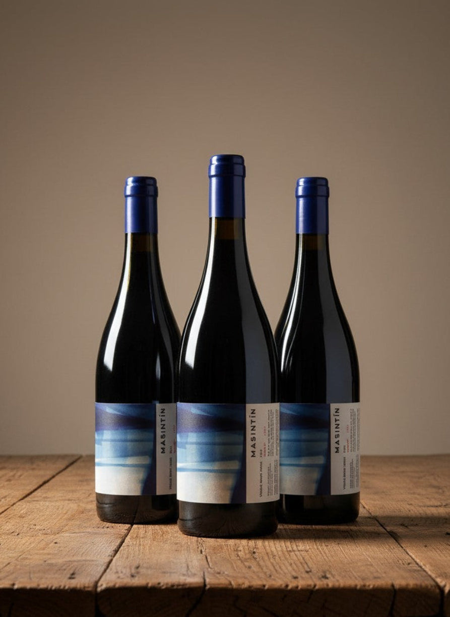Vino Masintin País 2023 D.O. Itata x 3 BOTELLAS