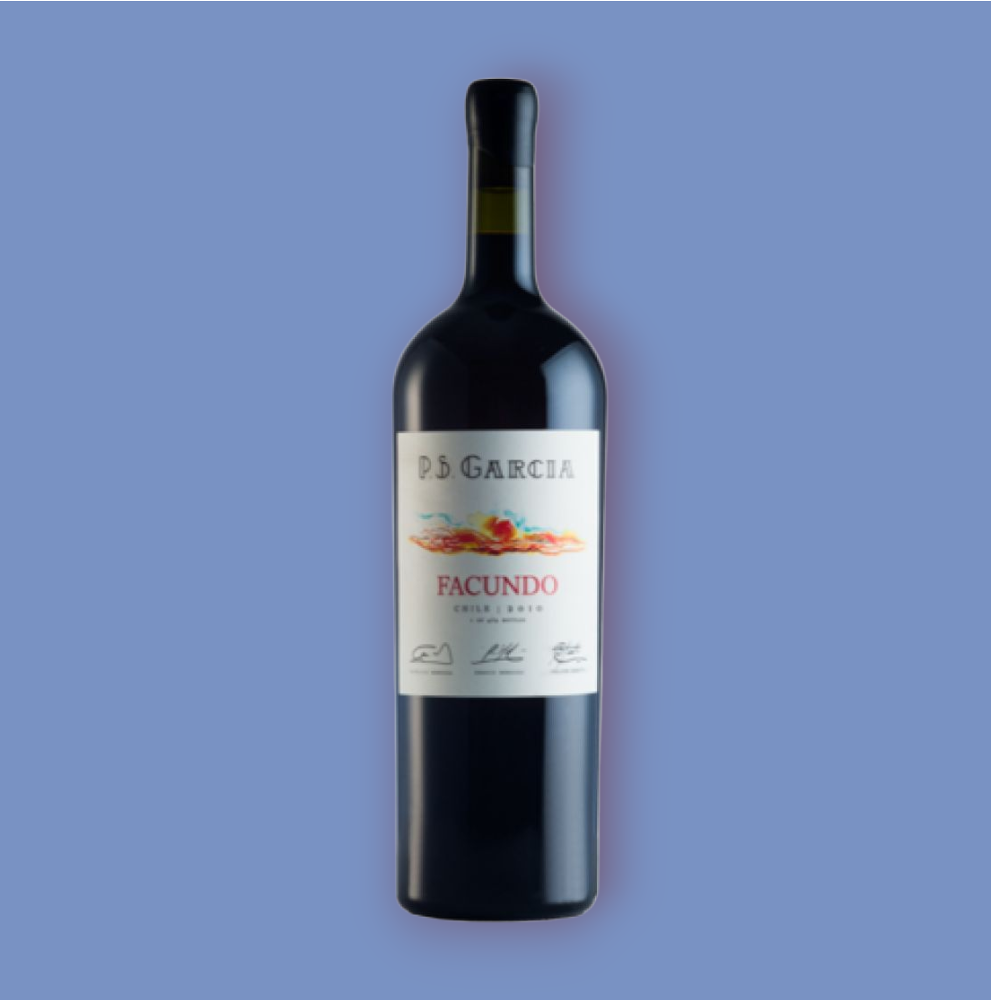 Vino PS Garcia Facundo 2015 Magnum D.O.Maule