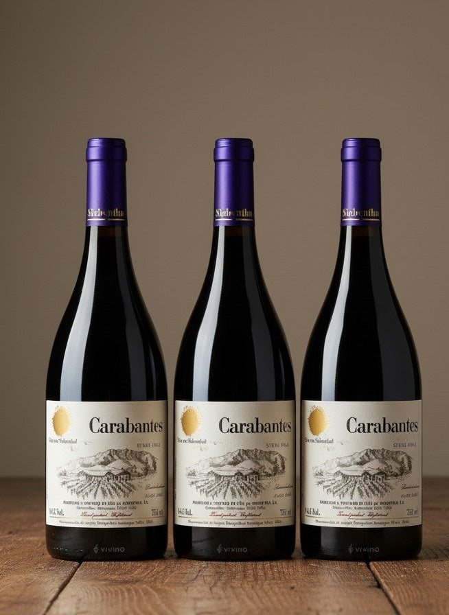 Vino Von Siebenthal Syrah Carabantes 2023 D.O. Aconcagua x 3 BOTELLAS