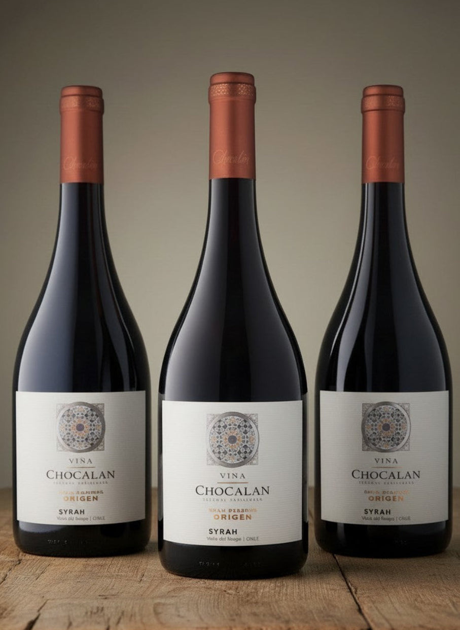 Vino Chocalán Origen Syrah 2024 D.O. Maipo x 3 BOTELLAS