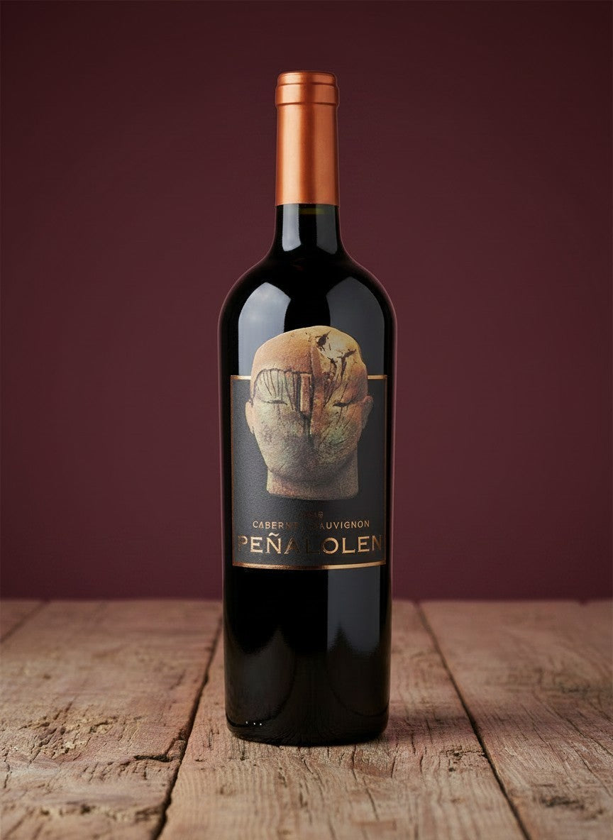 Vino Quebrada de Macul Peñalolén Magnum D.O. Maipo Andes