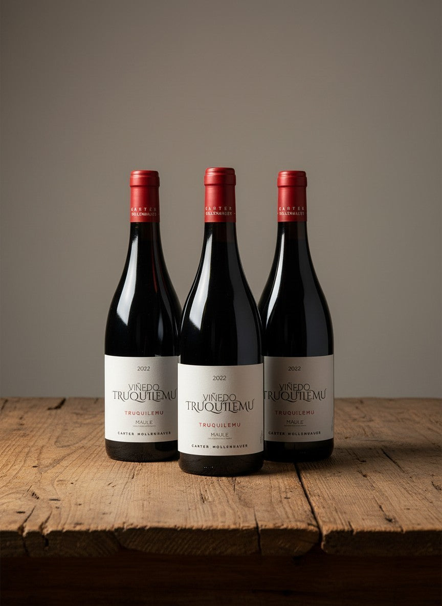 Vino Bodega Carter Mollenhauer Truquilemu Carignan 2022 D.O. Maule x 3 BOTELLAS