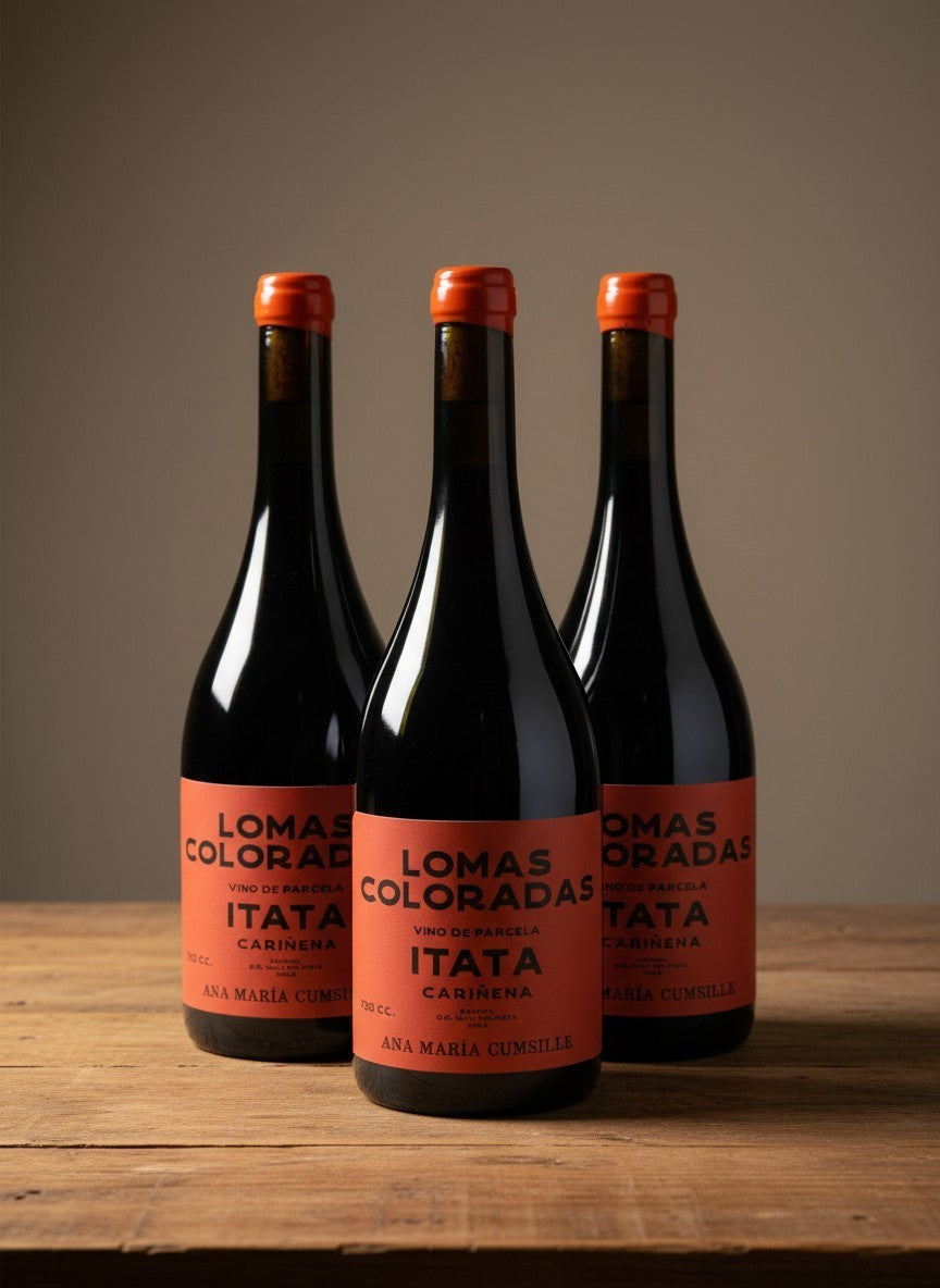 Vino Ana María Cumsille Lomas Coloradas Cariñena 2023 D.O.Itata x 3 BOTELLAS