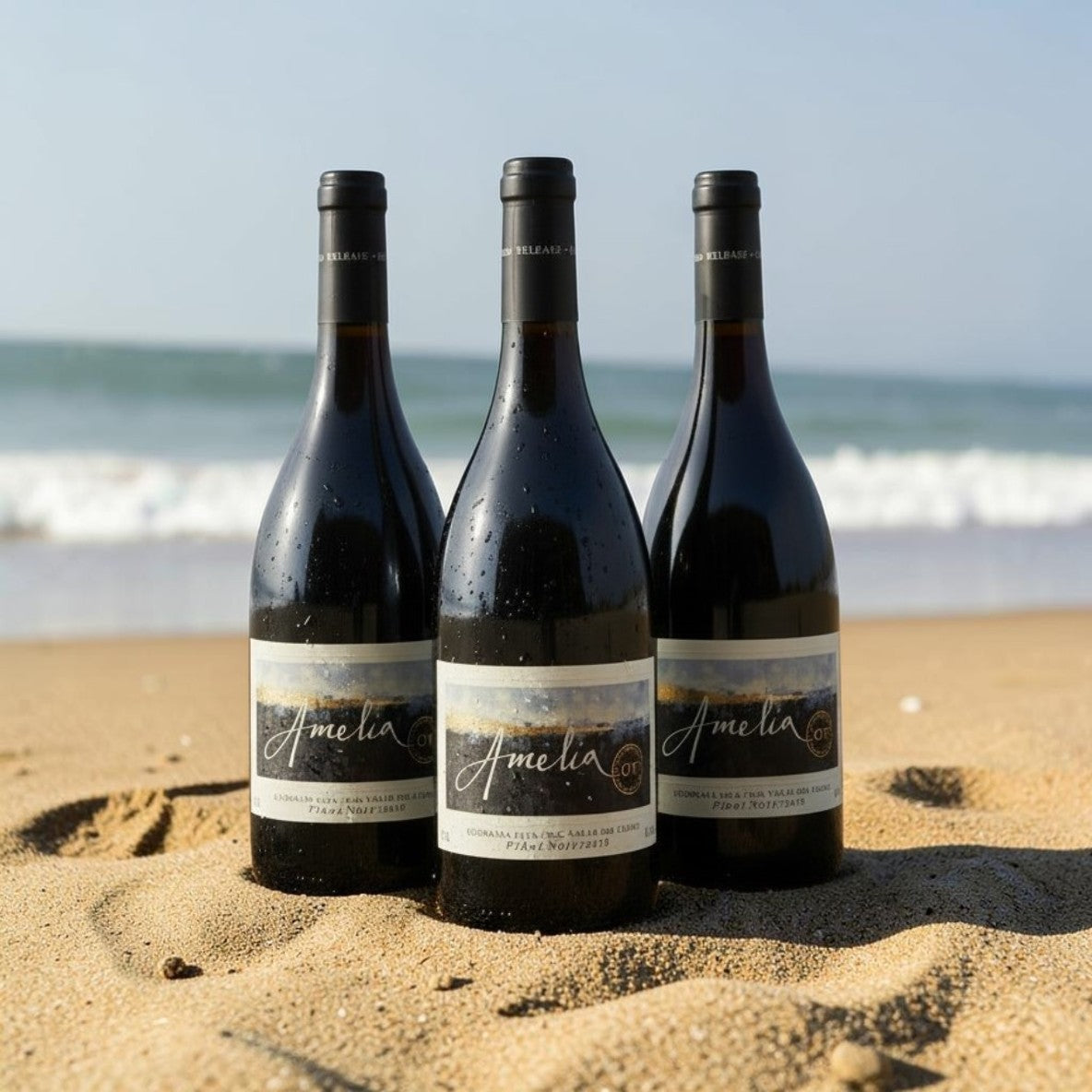 Vino Amelia Pinot Noir 2023 D.O. Limarí | 3 botellas