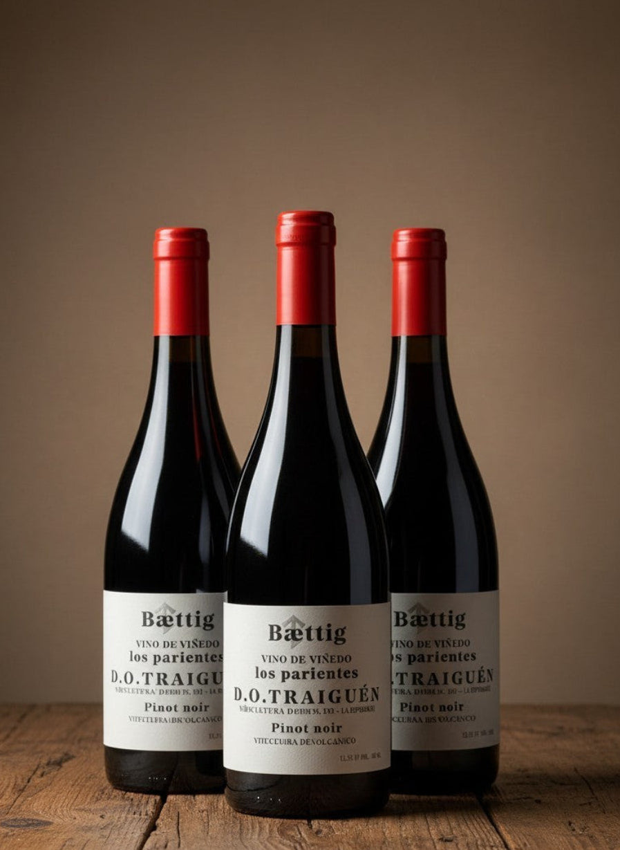 Vino Baettig Los Parientes Pinot Noir 2023 D.O. Traiguén x 3 BOTELLAS