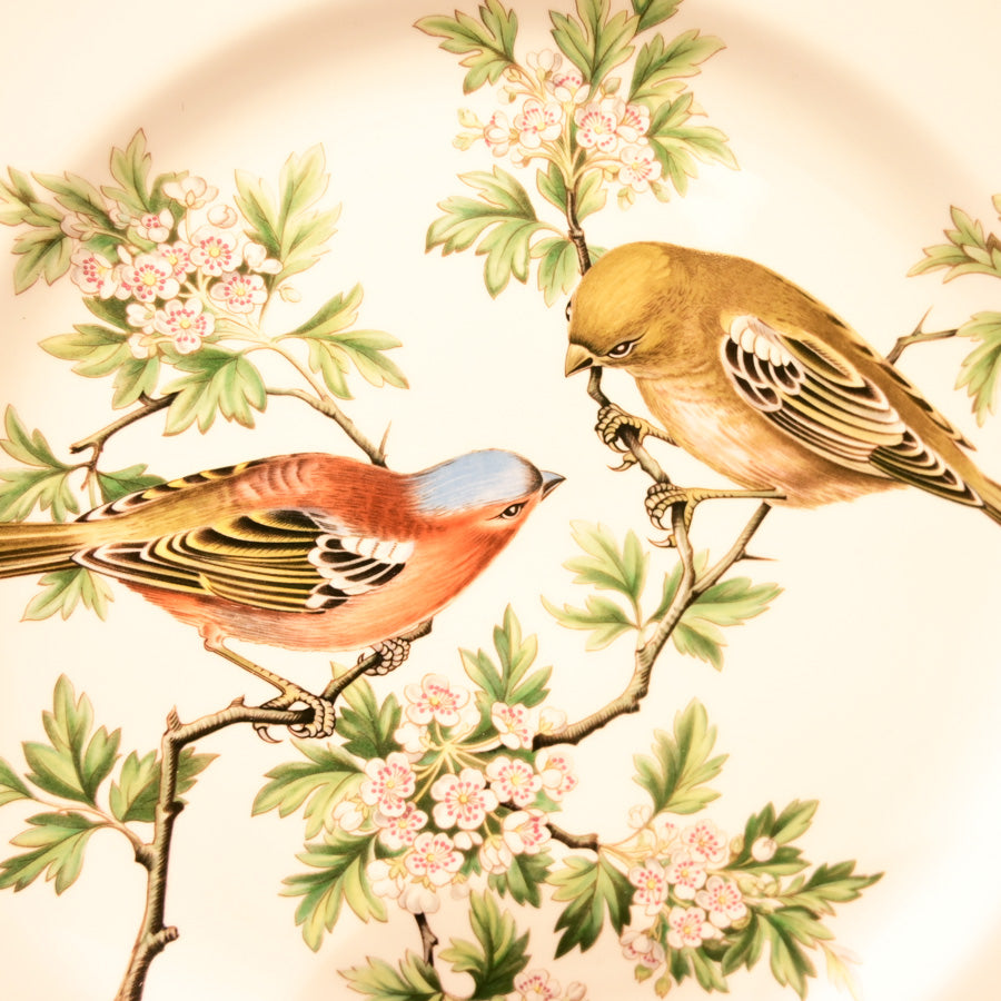 Plato porcelana bone china Spode aves británicas Chaffinch