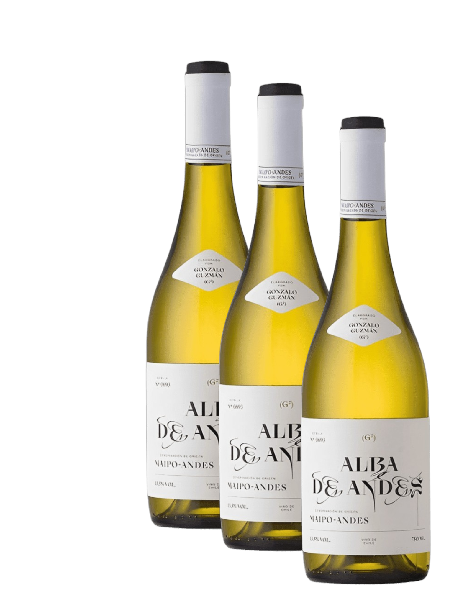 Vino Gonzalo Guzman Alba de los Andes Albariño 2024 D.O. Maipo Andes x 3 BOTELLAS