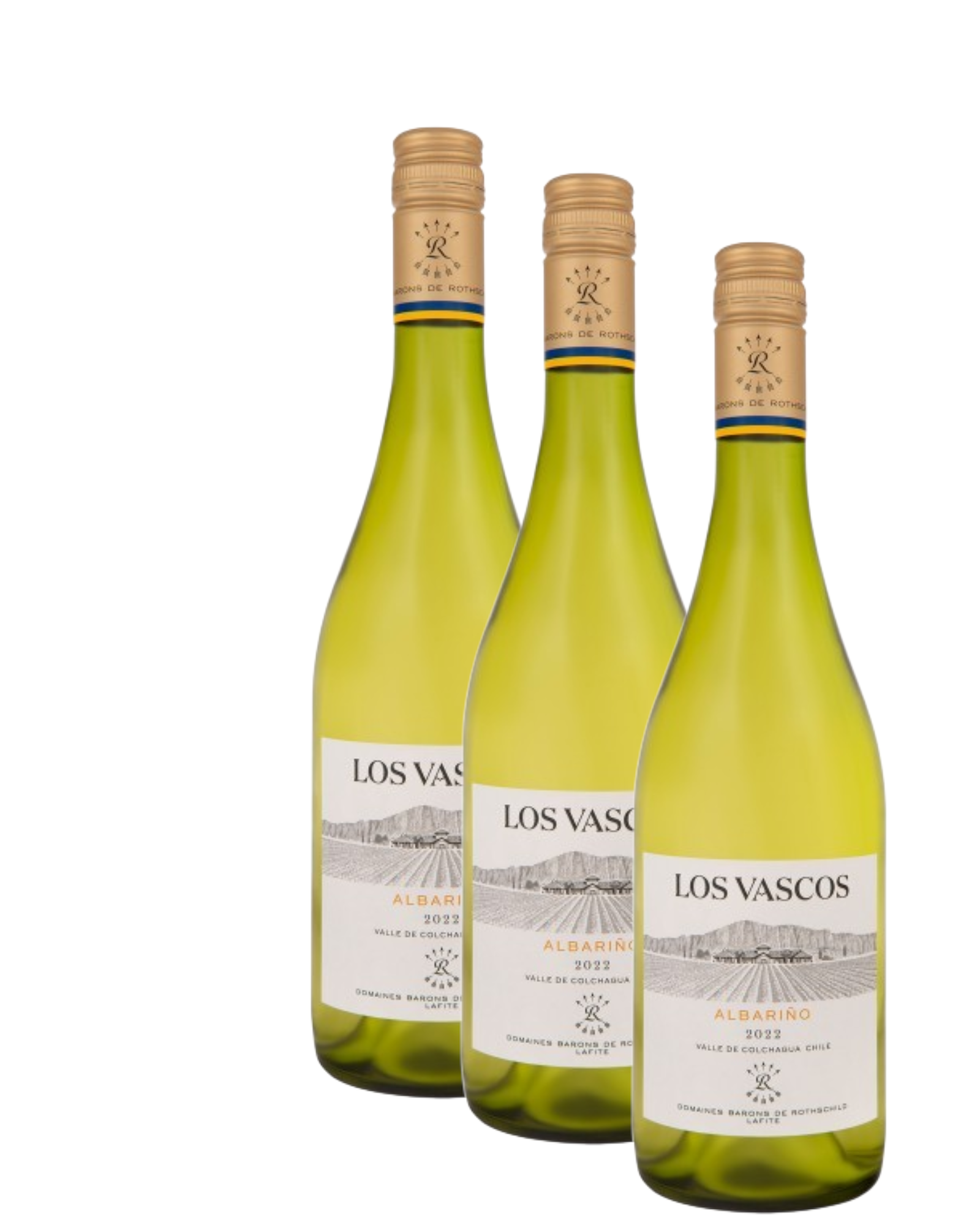Vino Los Vascos Chagual Albariño 2025 D.O. Colchagua x 3 BOTELLAS