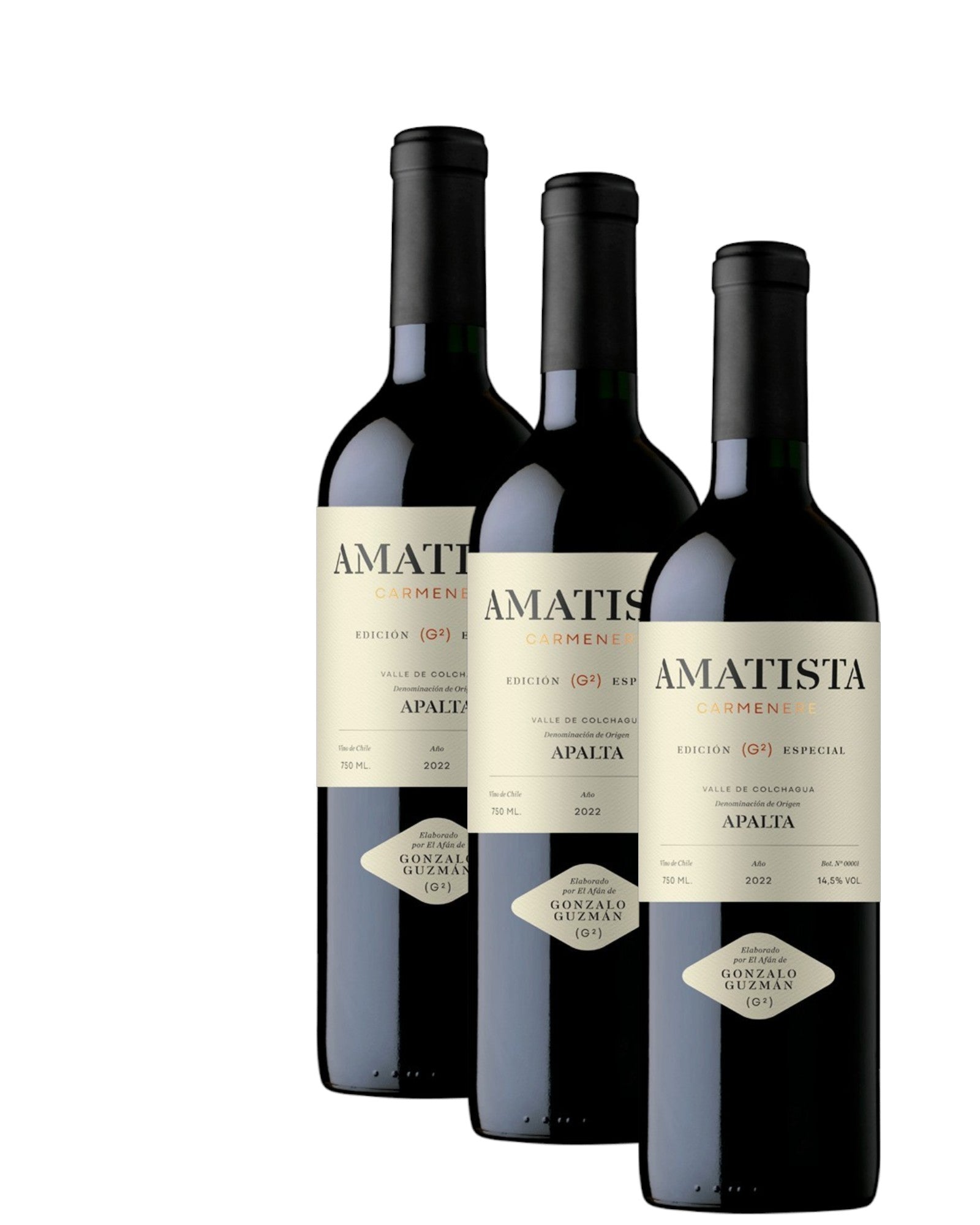 Vino Gonzalo Guzmán Amatista Carmenere 2023 D.O. Colchagua x 3 BOTELLAS