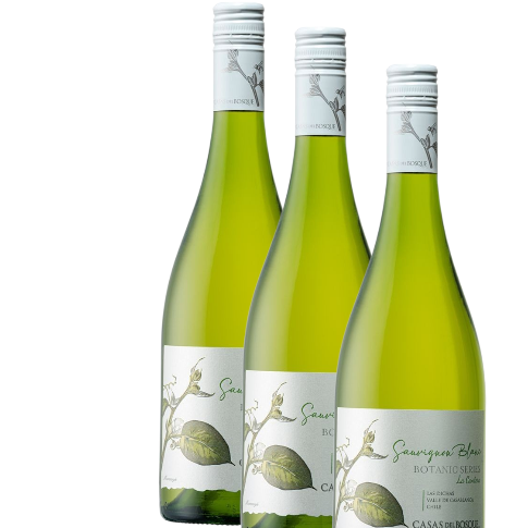 Vino Casas del Bosque Botanic Sauvignon Blanc 2024 D.O. Casablanca x 3 BOTELLAS