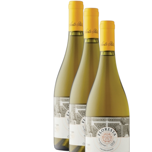 Vino Santa Rita Floresta Chardonnay 2023 D.O. Limarí x 3 BOTELLAS