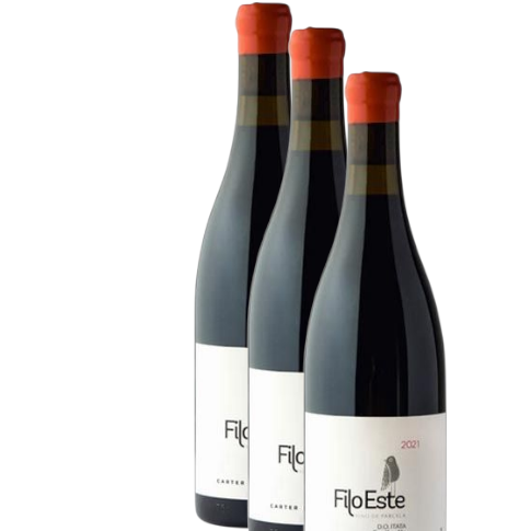 Vino Carter Mollenhauer Filo Este Cinsault 2023 D.O. Itata x 3 BOTELLAS