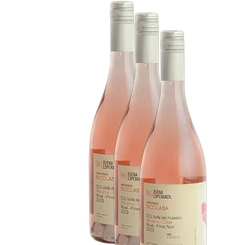 Vino Buena Esperanza Rosé 2023 D.O Huasco (Atacama) x 3 BOTELLAS