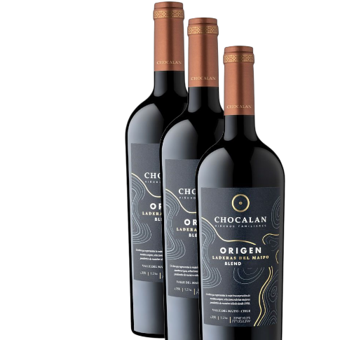 Vino Chocalán Laderas del Maipo Ensamblaje 2021 D.O. Maipo Costa x 3 BOTELLAS