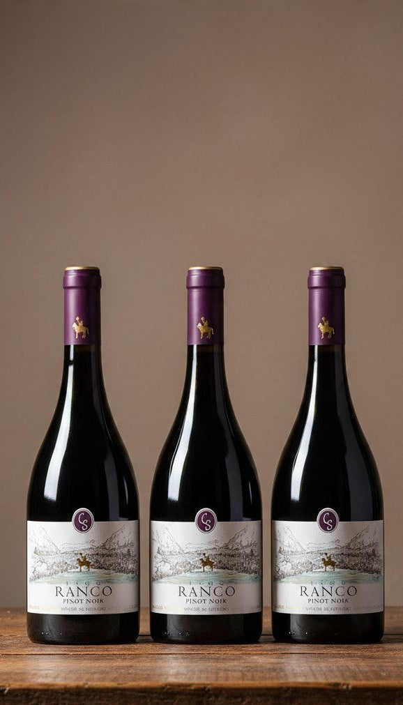 Vino Casa Silva Lago Ranco Pinot Noir 2024 D.O. Futrono | 3 botellas