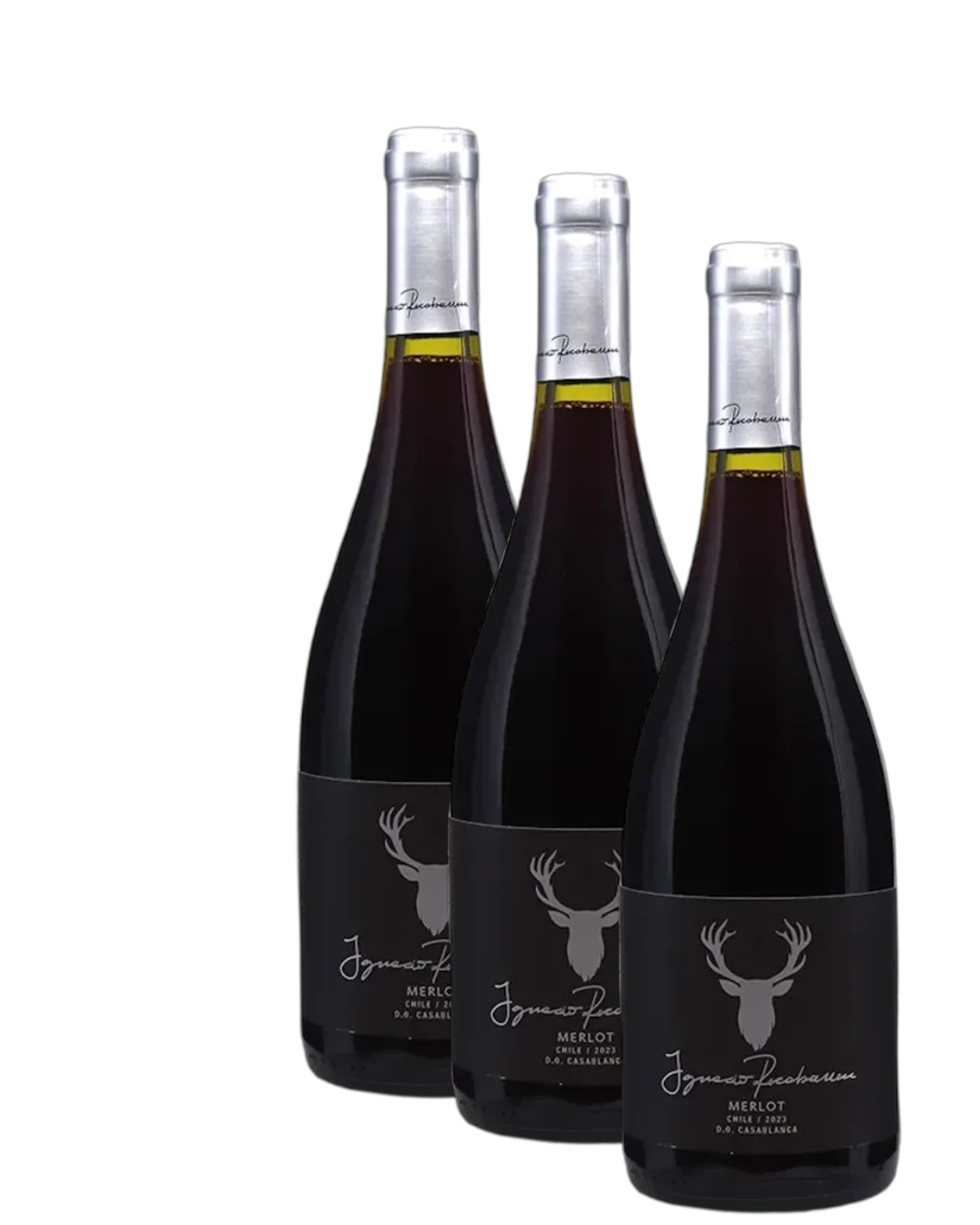 Vino Ignacion Recabarren Merlot 2024 D.O. Casablanca x 3 BOTELLAS