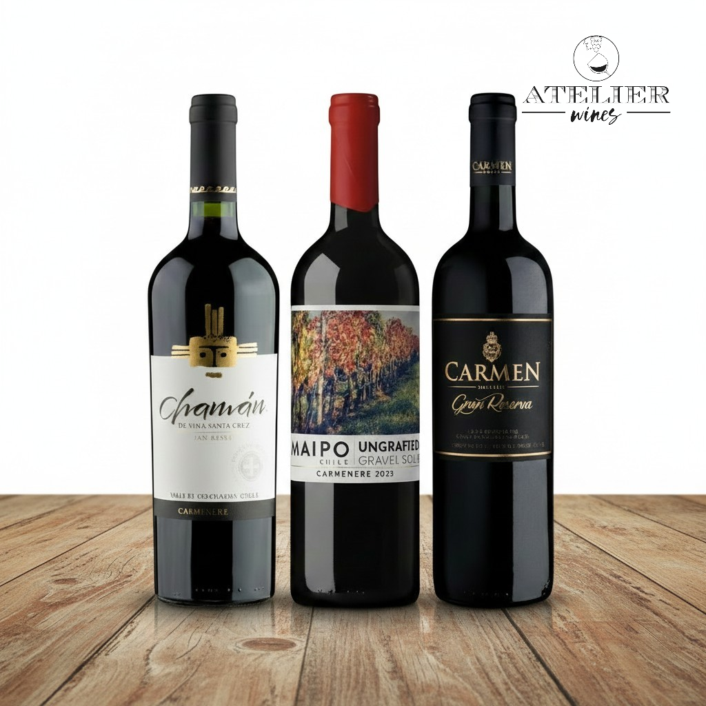 Vino SELECCIÓN CARMENERE IMPERDIBLES 3 BOTELLAS
