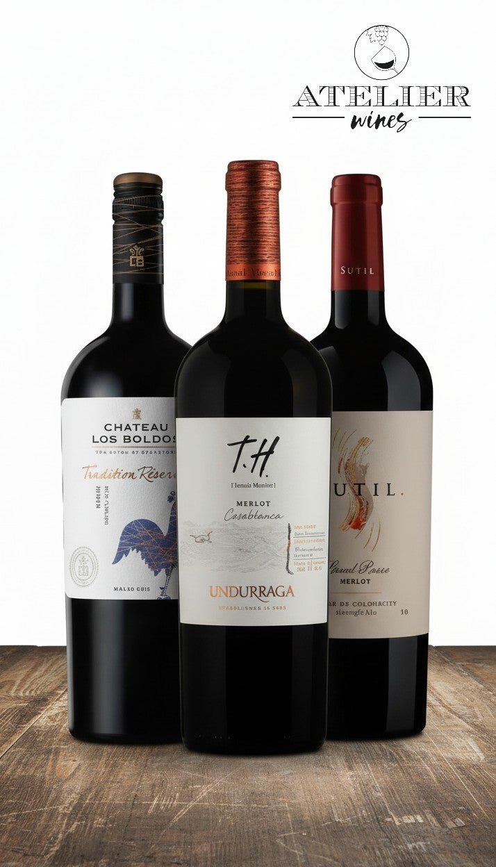 Vino Selección MERLOT IMPERDIBLE 3 BOTELLAS