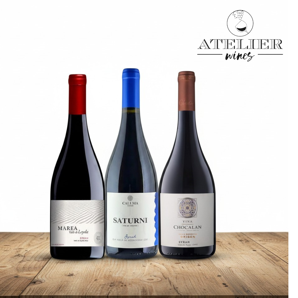 Vino Selección Syrah IMPERDIBLES 3 BOTELLAS