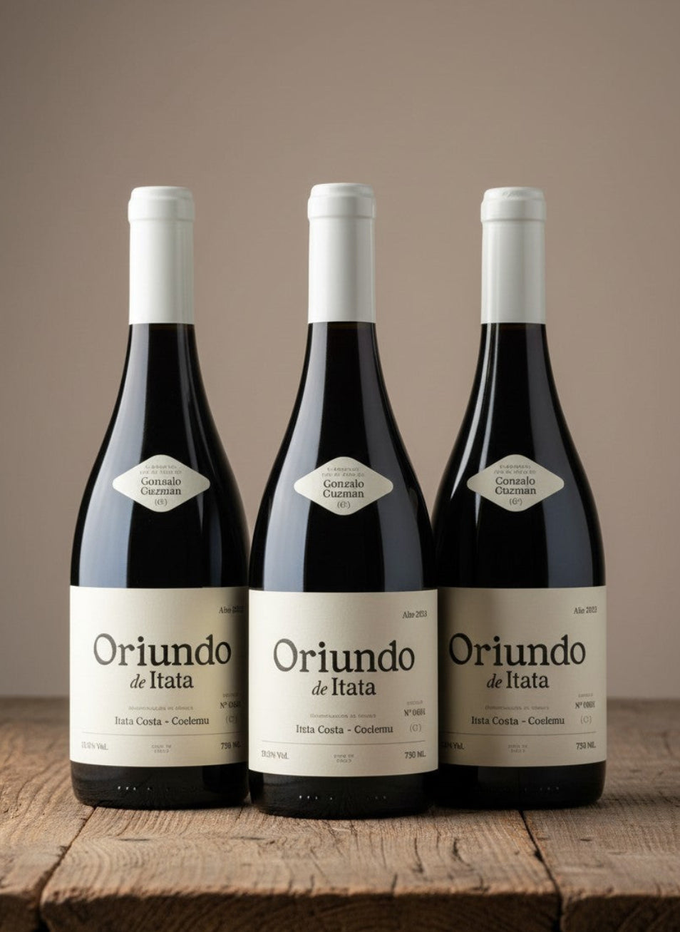 Vino Gonzalo Guzman Oriundo Cinsault 2023 D.O. Itata (Coelemu) X 3 BOTELLAS