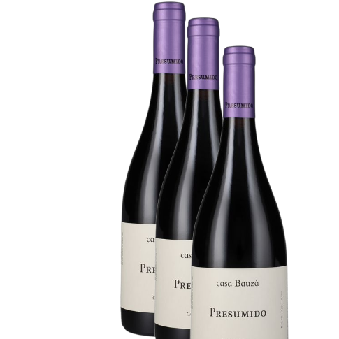 Vino Bauza Presumido Carmenere 2023 D.O. Maipo x 3 BOTELLAS