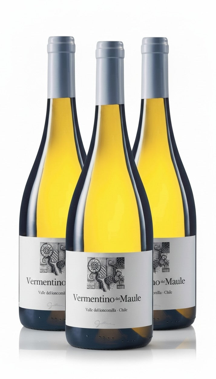 Vino Gillmore Vermentino 2025 D.O Maule x 3 BOTELLAS