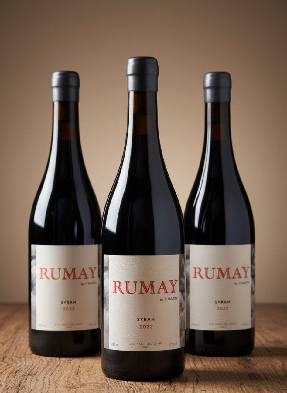 Vino J.P.Martin Rumay Syrah 2021 D.O. Limarí x 3 BOTELLAS