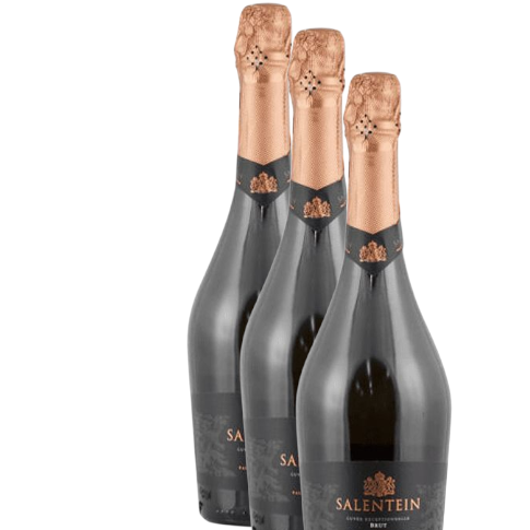 Espumante Extranjero Salentein Brut D.O. Uco (Mendoza) x 3 BOTELLAS