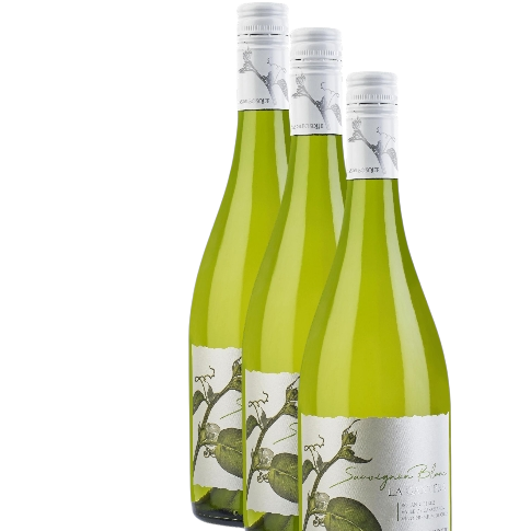 Vino Casas del Bosque Botanic Sauvignon Blanc 2024 D.O. Casablanca x 3 BOTELLAS