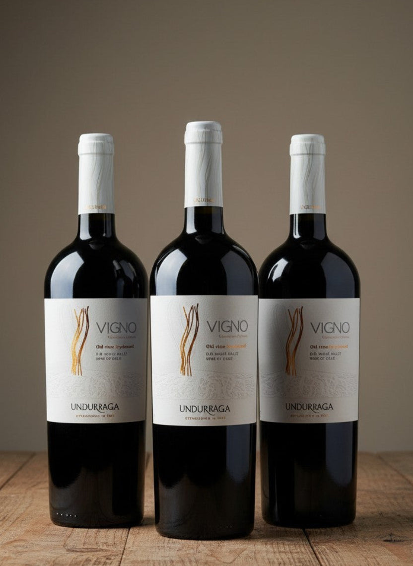 Vino Undurraga VIGNO Carignan 2021 D.O. Maule x 3 BOTELLAS