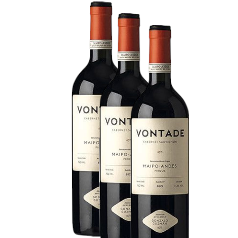 Vino Gonzalo Guzman Vontade Cab Sauv 2021 D.O. Maipo . X 3 BOTELLAS