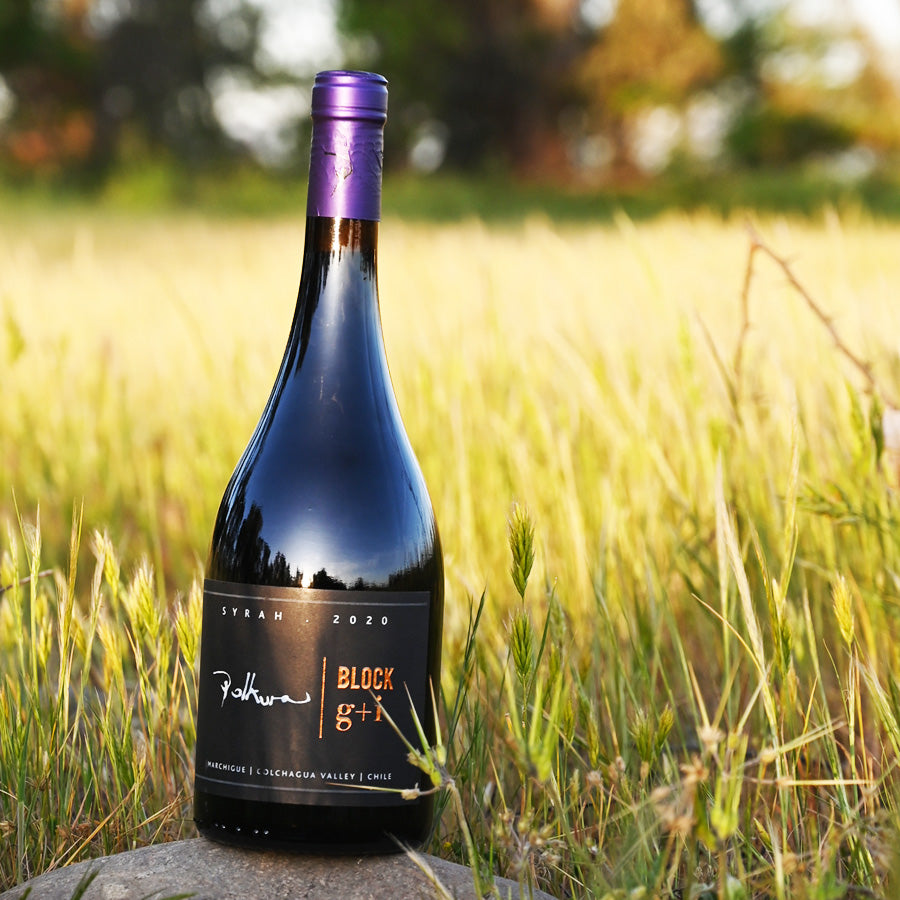 Vino Polkura Block G+I Syrah 2022 D.O. Marchigüe (Colchagua Costa)