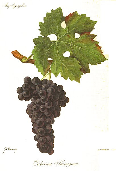 LA FAMILIA CABERNET