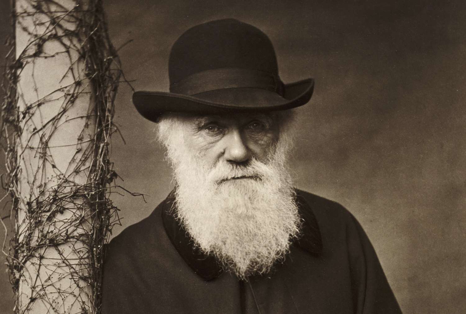 CHARLES DARWIN REFLEXIONÓ SOBRE LA DIFERENCIA CUANDO TU NEGOCIO ES PROPIO
