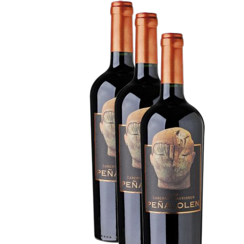 Vino Quebrada de Macul Peñalolén 2020 D.O. Maipo x 3 BOTELLAS