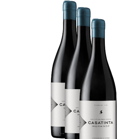 Vino Morandé CasaTinta Ensamblaje 2020 D.O. Casablanca x  3 BOTELLAS