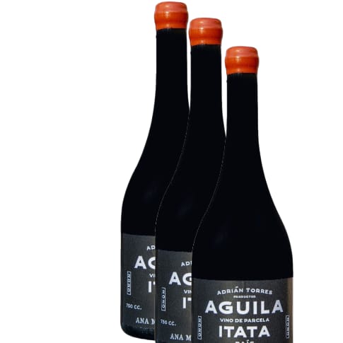 Vino Ana María Cumsille Aguila Pais 2022 D.O. Itata x 3 BOTELLAS