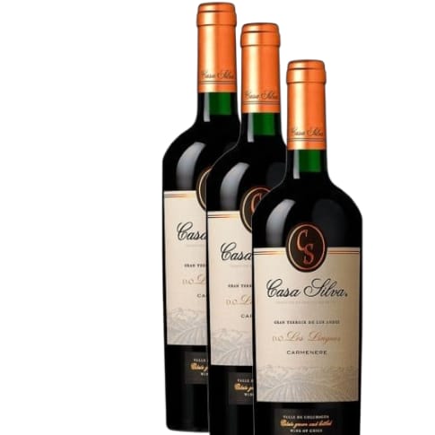 Vino Casa Silva Gran Terroir de los Andes Carmenere 2022 D.O. Los Lingues 3 BOTELLAS