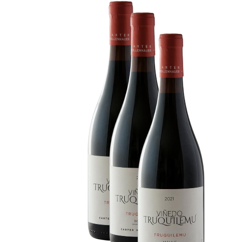 Vino Bodega Carter Mollenhauer Truquilemu Carignan 2022  D.O. Maule x 3 BOTELLAS