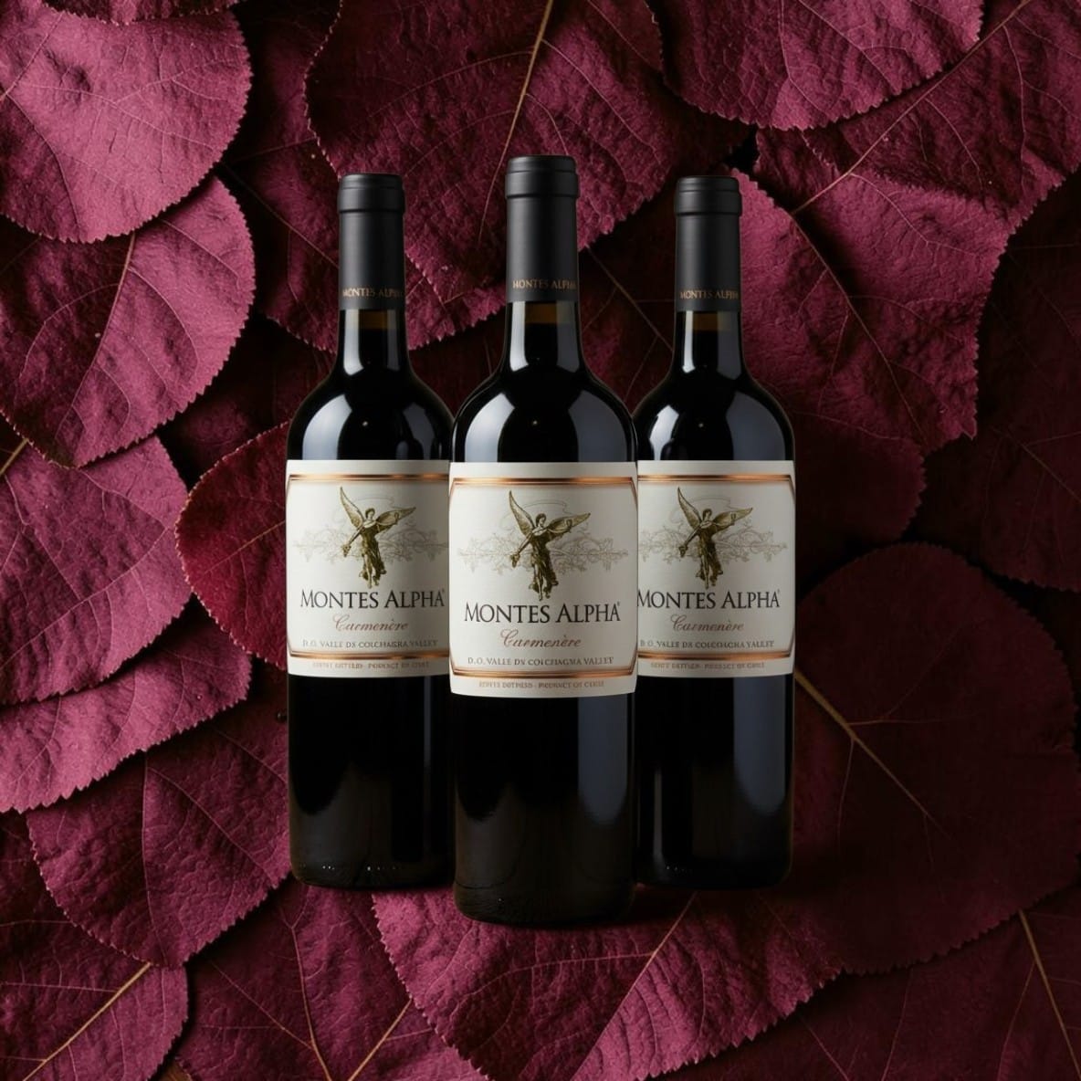 Vino Montes Alpha Carmenère 2023 D.O. Colchagua | 3 botellas