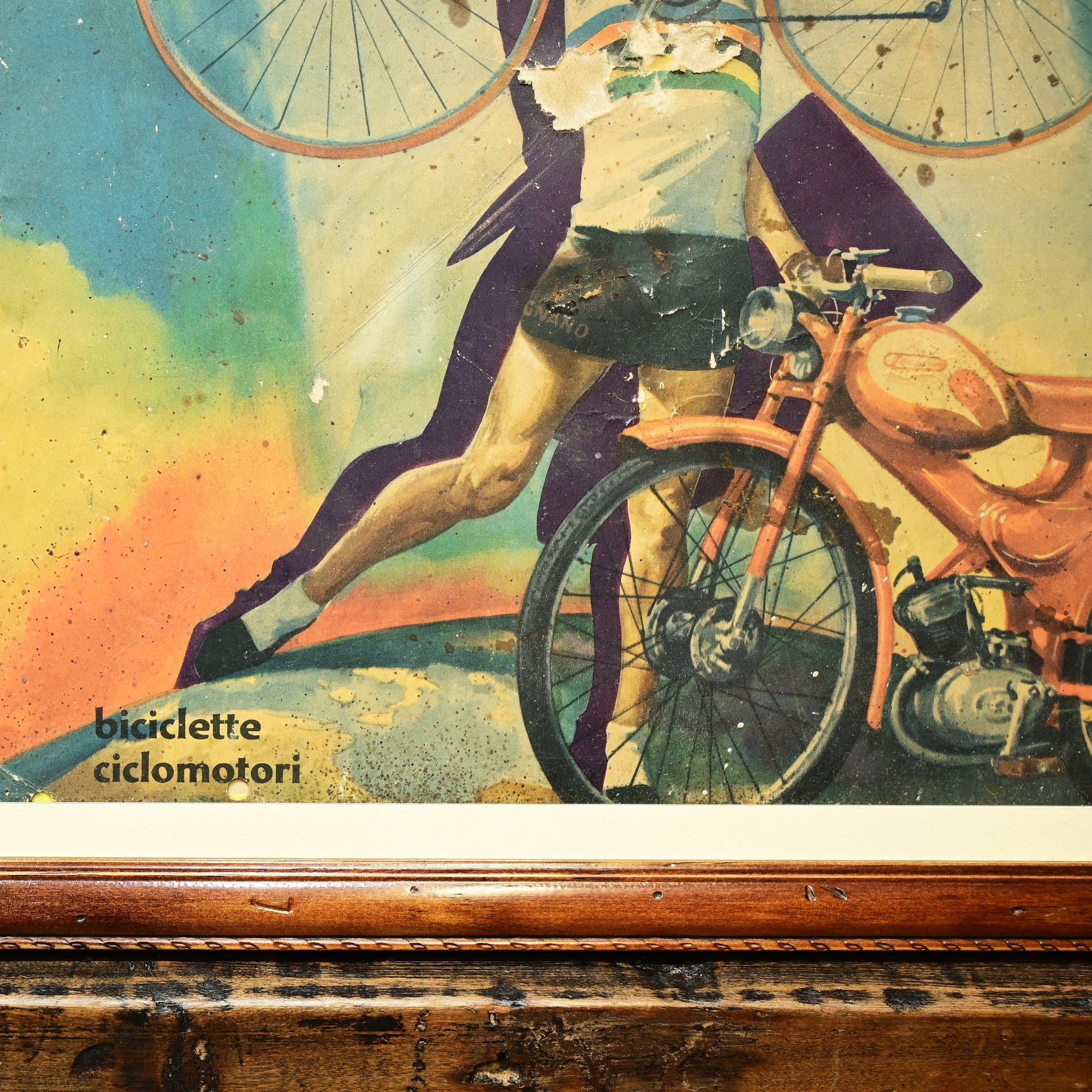 Lámina Biciclette e Ciclomotori Legnano