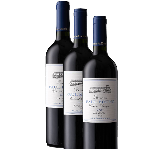 Vino Domaine Paul Bruno Cabernet Sauvignon 2020 D.O. Maipo x 3 BOTELLAS