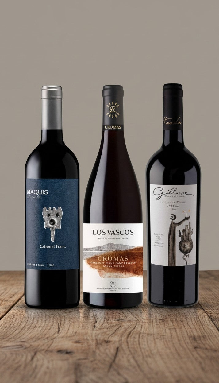 VINO SELECCIÓN CABERNET FRANC IMPERDIBLE 3 BOTELLAS