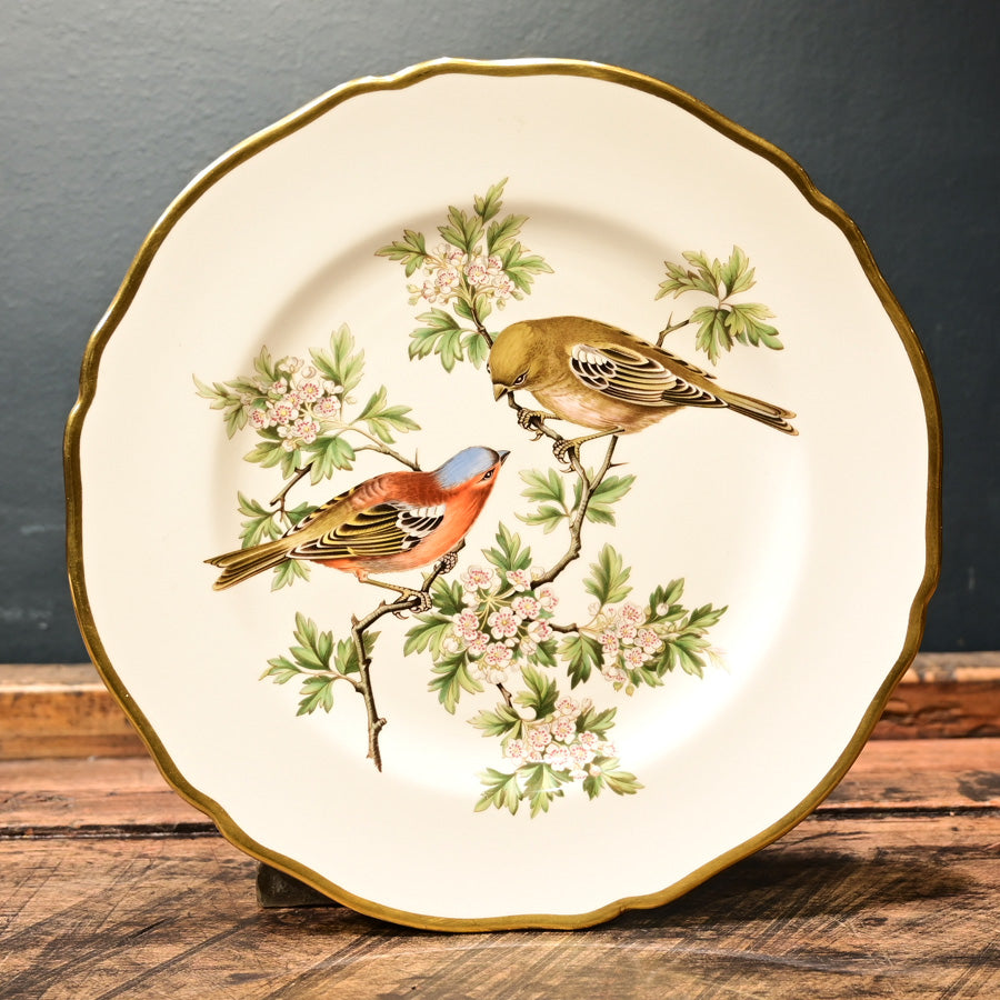 Plato porcelana bone china Spode aves británicas Chaffinch