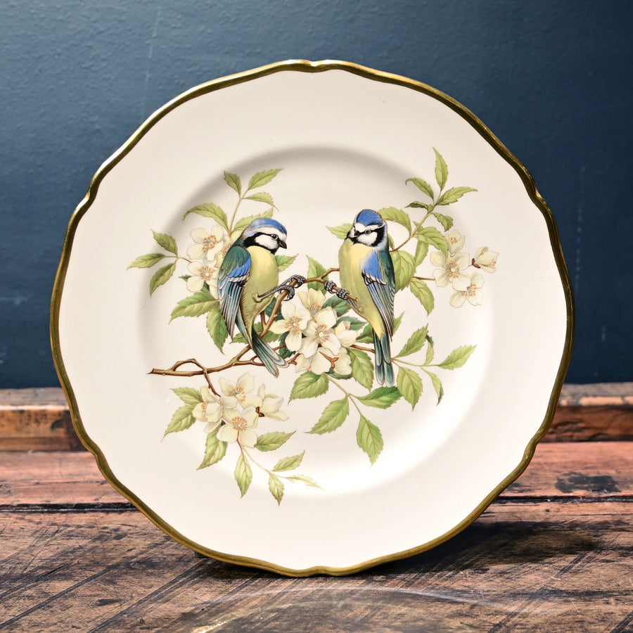 Plato porcelana bone china Spode aves británicas Blue Titmouse